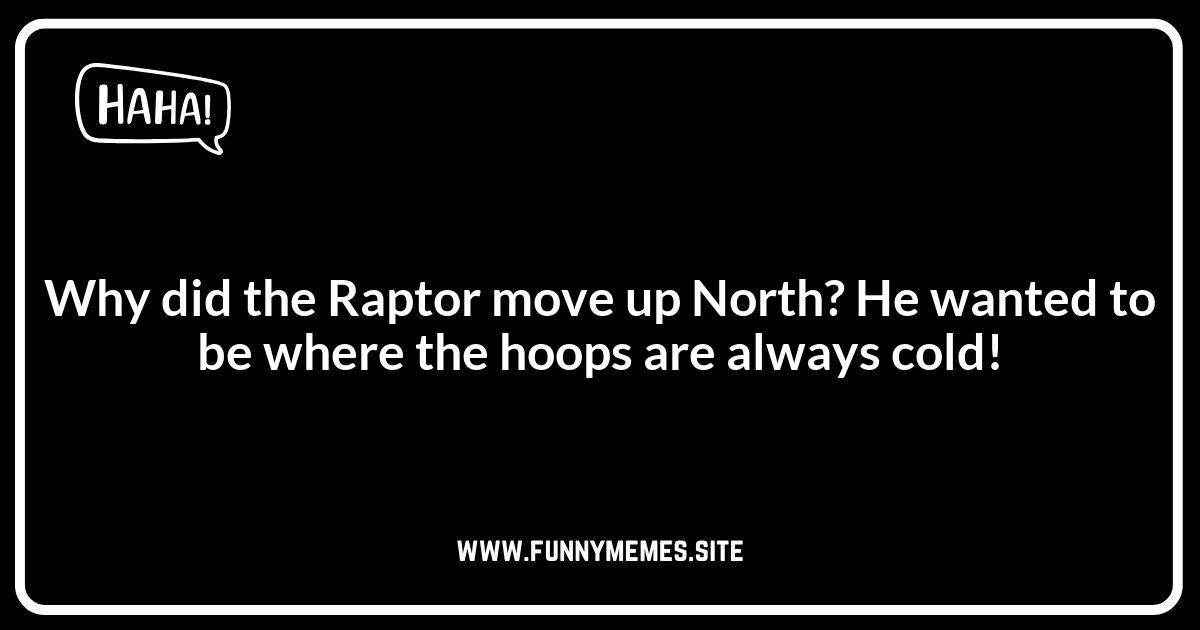 Toronto Raptors Jokes: Puns About the North