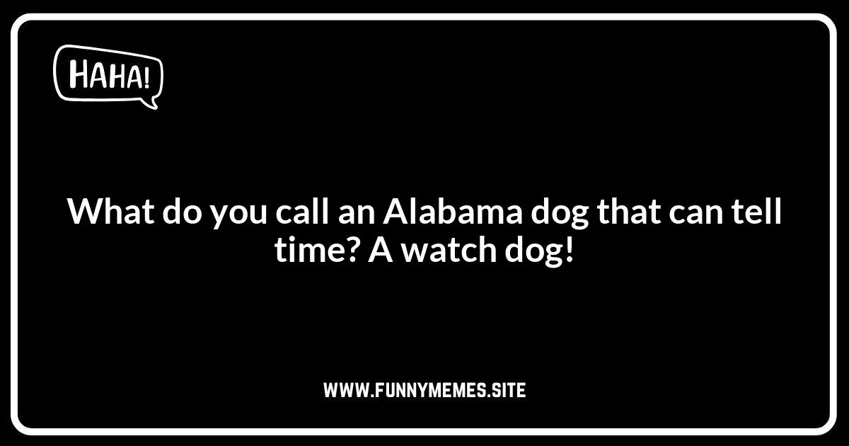 Alabama Jokes: Clean Fun for the Whole Family