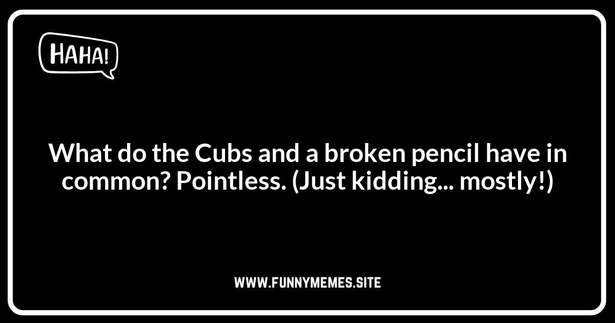 Chicago Jokes: Sports Fanatic Fails