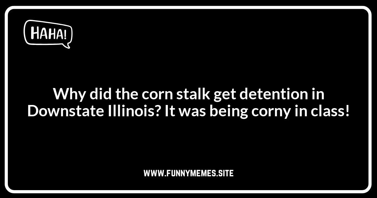 Downstate Illinois Jokes: Cornfields and Comedy