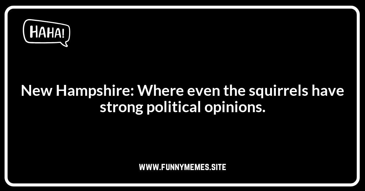 New Hampshire Jokes Referencing Politics