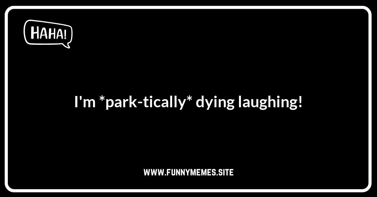 New York Puns: Central Park Chuckles