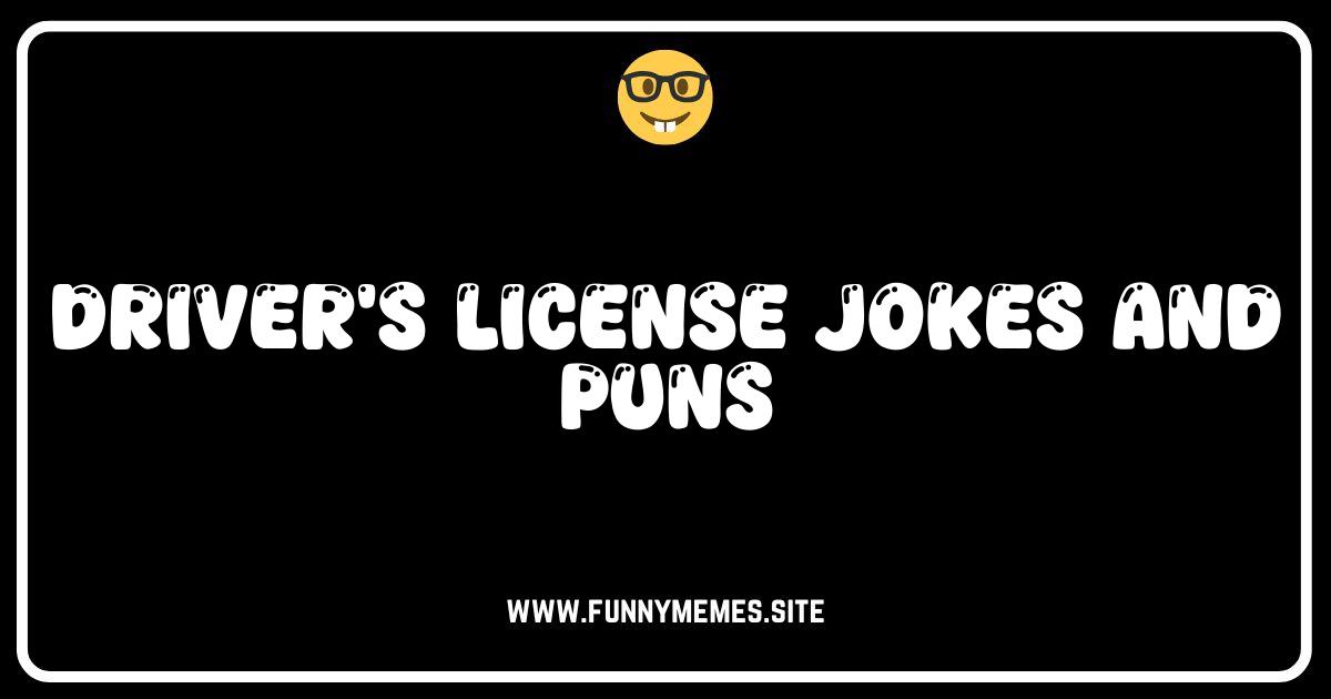 License to Laugh: The Funniest Driver's License Jokes & Puns!