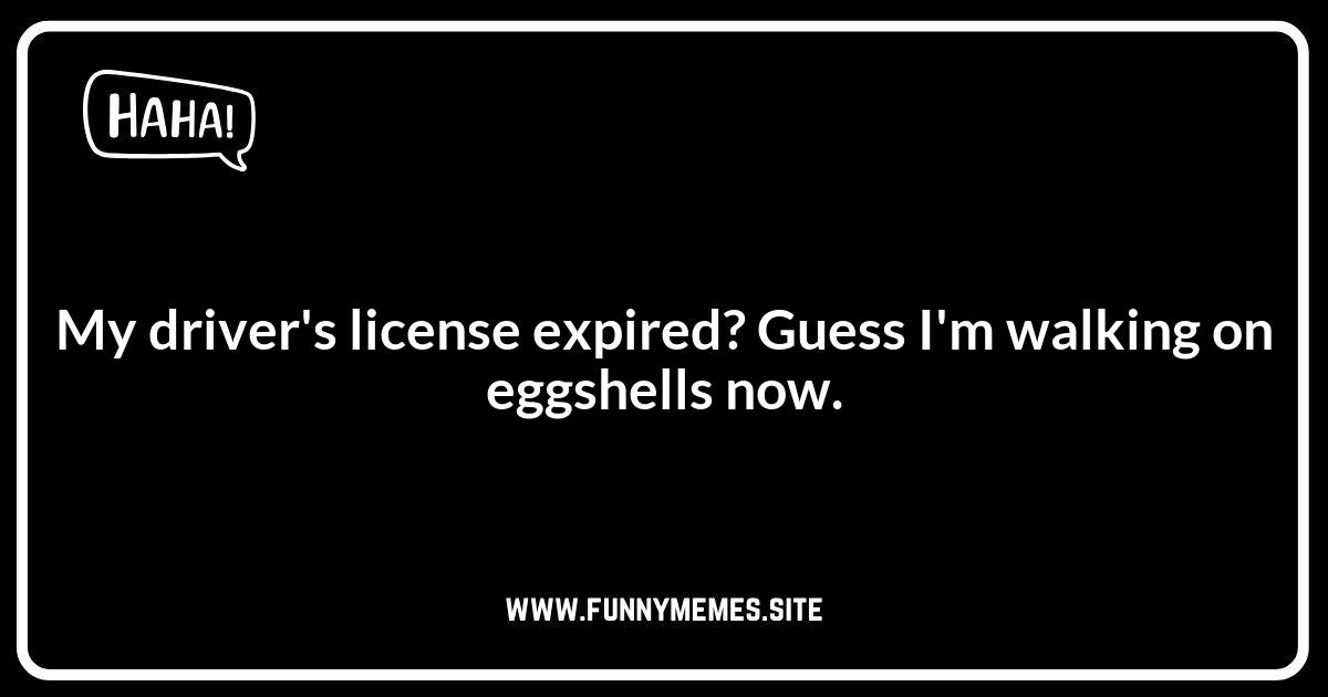 One-Liner Driver's License Jokes for a Quick Laugh