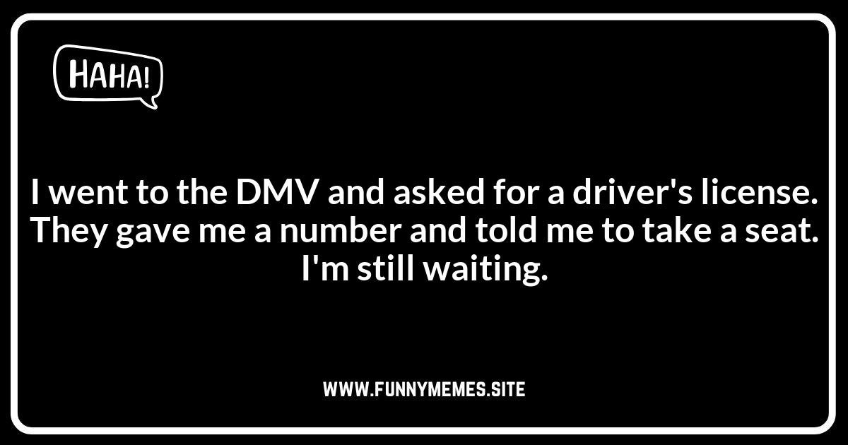 DMV Driver's License Jokes: The Ultimate Test