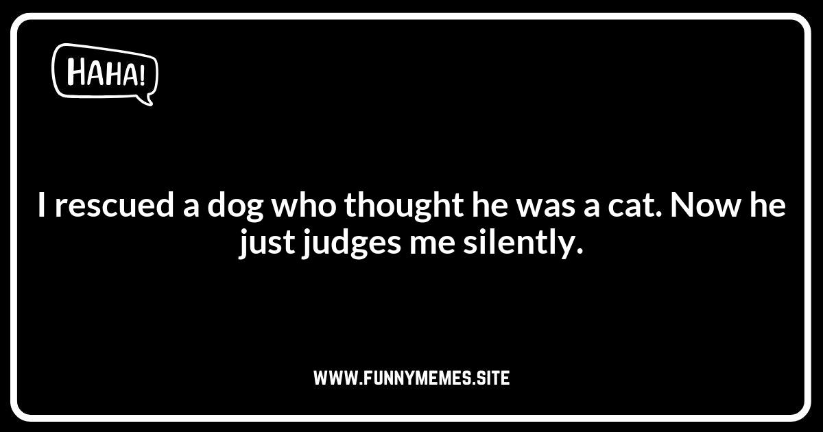 Pet Rescue Jokes: Rescuing Smiles with Humor