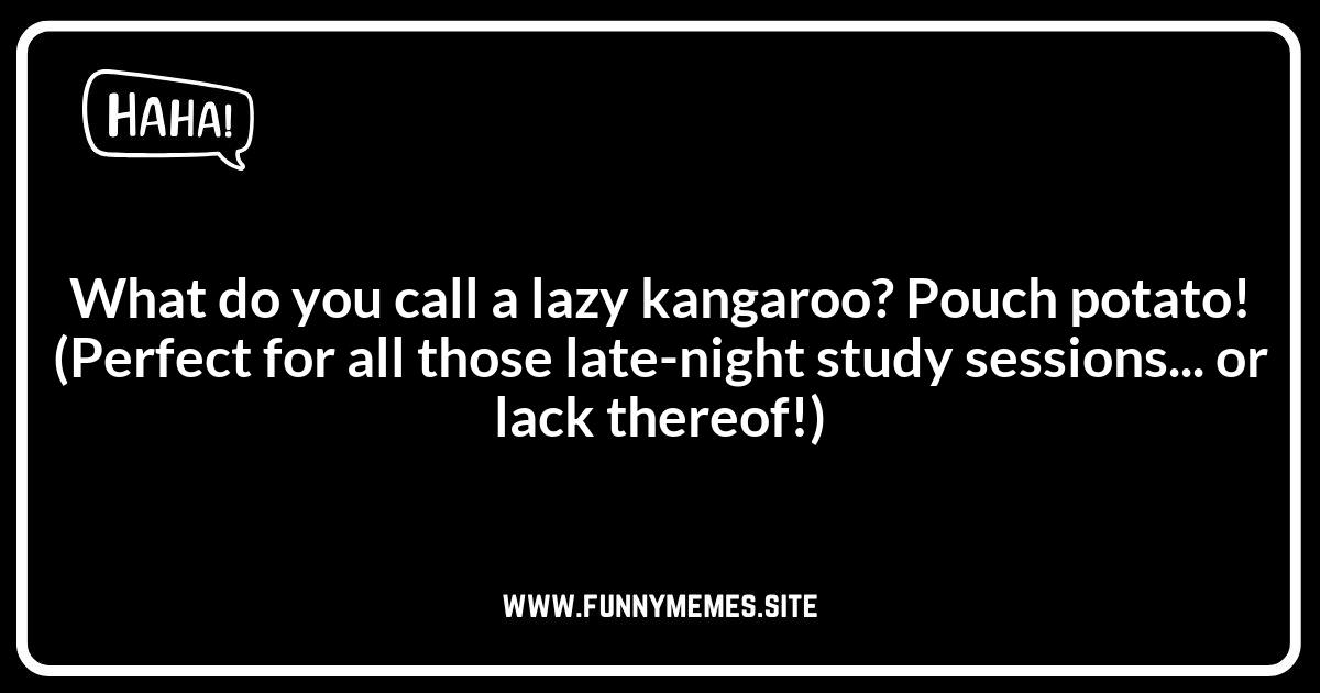 College Acceptance Jokes: Academic Humor for the Accepted