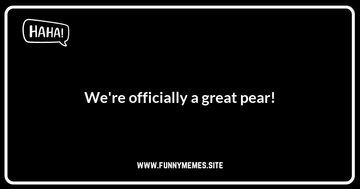 Domestic Partnership Puns: Officially Hilarious!