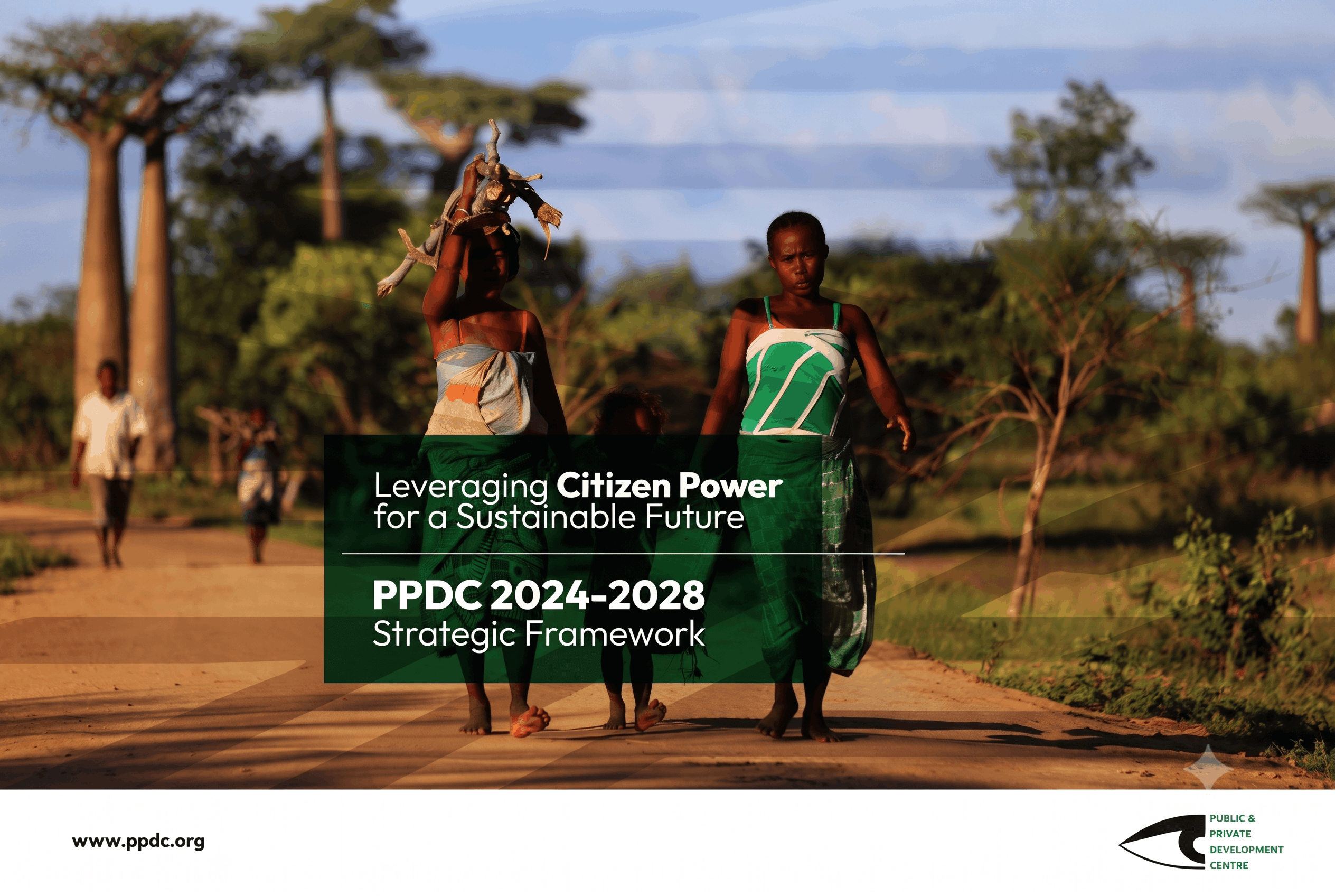 PPDC 2024-2028 Strategic Framework