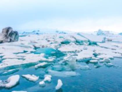 На круглом столе Arctic Sessions обсудили вопросы крупных проектов в Арктике
