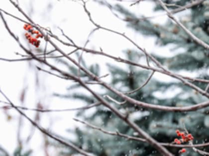 Непогода ожидает Владивосток в начале декабря