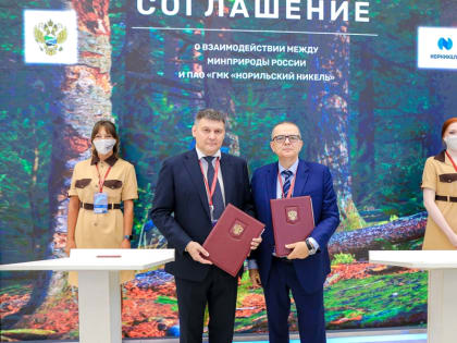 «Норникель» и Минприроды подписали соглашение по сохранению кречета в России