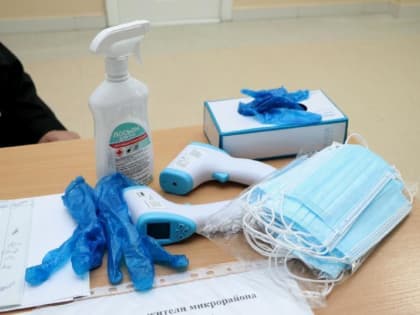 Россиян предупредили: коронавирус еще не все