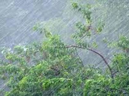 Сильные дожди накроют Приморье