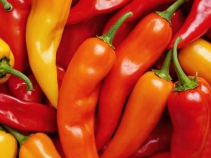 Обнаружен вирус в остром перце, привезенном из Китая