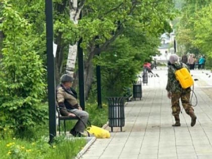 Скверы и аллеи в Приморье обрабатывают от клещей