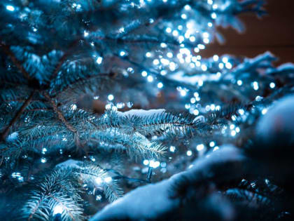 Штрафная новогодняя ночь: заплатить придется от 500 до 100 000 рублей