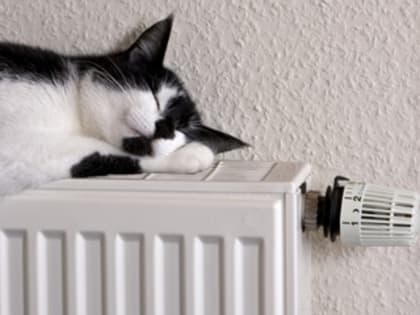 Тепло в дома уссурийцев подадут 15 октября