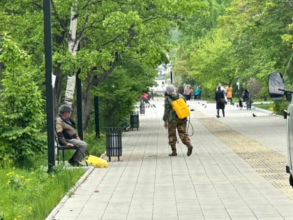 Антиклещевую обработку проведут в Находке