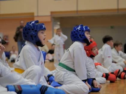 В Артеме прошли чемпионат и первенство Приморского края по тхэквондо ГТФ