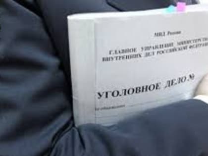 В Приморском крае возбуждено уголовное дело о покушении на убийство по факту стрельбы по окнам квартиры дома в поселке Дунай