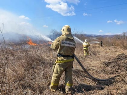 В пригороде Владивостока горит сухая трава