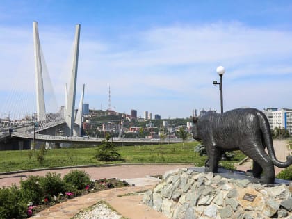 Всего несколько тысяч голосов отделяют Приморье от победы в конкурсе на звание молодежной столицы