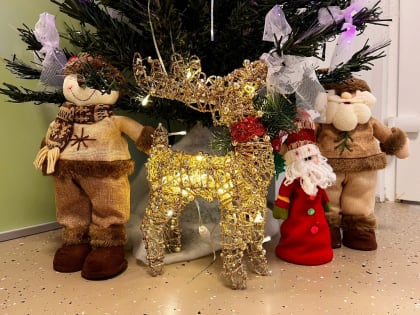 Красочные фотозоны появились в перинатальном центре в канун Нового года