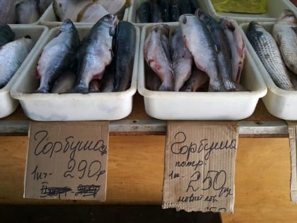 Дело о недобросовестной конкуренции на Первореченском рынке Владивостока завели в ФАС