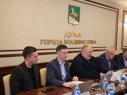 Комитет поддержал проекты МПА по вопросам муниципальной службы, установления границ ТОС