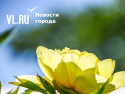 Сегодня во Владивостоке до +26 °С