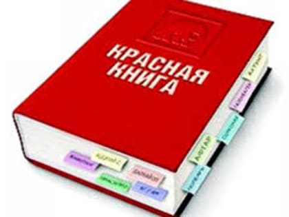 Минприроды хочет расширить перечень случаев, разрешающих добычу краснокнижных животных