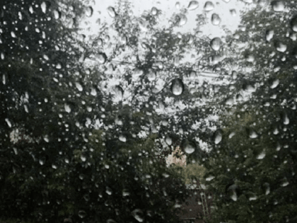 Китайский циклон приблизится завтра к Приморью