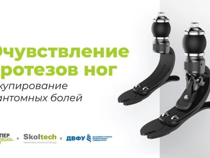 В России ищут добровольцев для исследования по очувствлению ног во Владивостоке