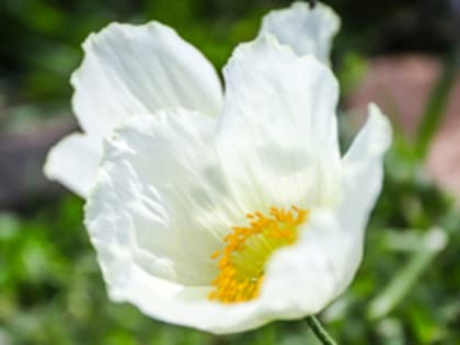 Сегодня во Владивостоке до +13 и ветер