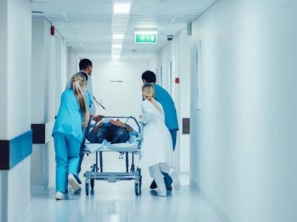 «С каждым днем все больше»: смертельный вирус атаковал Приморье