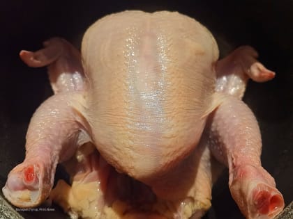Каждая четвёртая проба импортного мяса кур в Приморье не соответствует требованиям