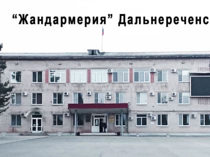 «Жандармерия» Дальнереченска?