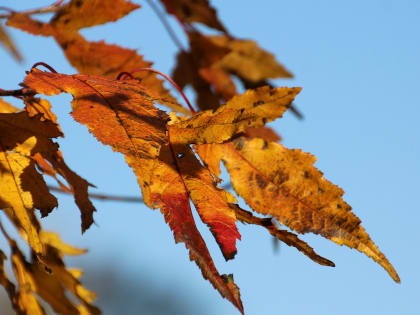 Резкое похолодание до +4 °C в Приморье — дата