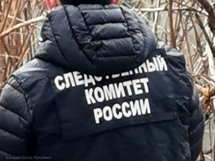 Страшные кадры: четырёхлетняя девочка выпала из окна в Хабаровске