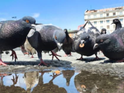 Сегодня вечером во Владивостоке возможен небольшой дождь