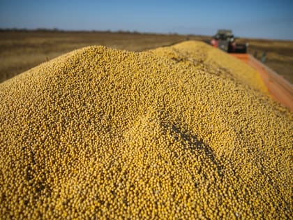 На 100 тысяч тонн увеличился урожай сои и зерна в Приморском крае