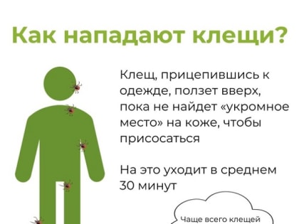 Заболевания клещевым энцефалитом и боррелиозом выявлены в Приморье