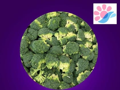 Забота о питании в родильном доме №3