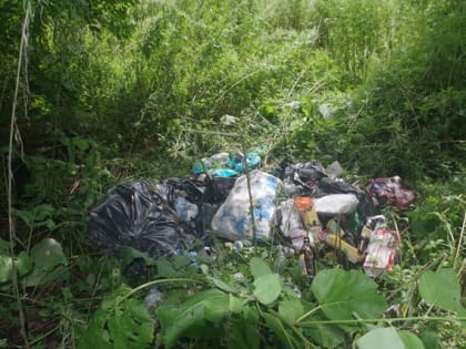 Жители таёжного села Тигровой в Приморье пожаловались на невывоз мусора