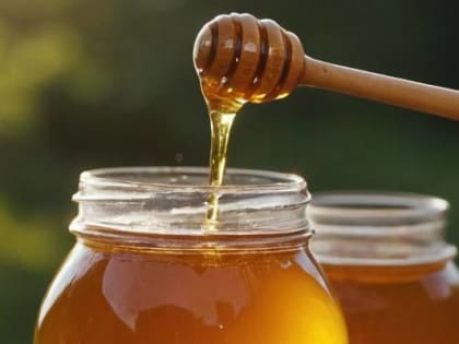 Мед с остатками антибиотиков обнаружили в Приморье