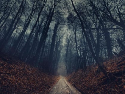 «Октябрь будет просто адовый». Синоптики сказали, к чему надо готовиться