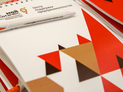 Социальных предпринимателей Приморья научат создавать успешные бизнес-стратегии