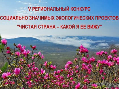 В Артеме продолжается муниципальный этап V регионального конкурса социально значимых экологических проектов «Чистая страна – какой я ее вижу»