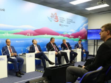 «Бумажные заводы» и неточность определений: замминистра минлеса Приморья рассказал об изъянах открытых лесных конкурсов